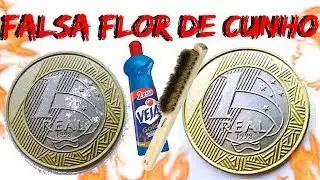 FALSA Flor de Cunho - Limpeza de Moedas #Numism&aacute;tica 2018
