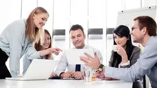 Phoenix Management Group Tokyo Japan Public Information