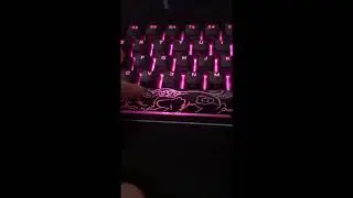 UwU Whats This?