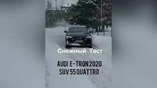 Audi E-tron suv 2020 55 Quattro зимой в снегу