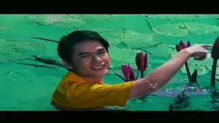 #vcdthaicopy Opening & Closing : Crying Tiger