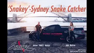 'Snakey' - Sydney Snake Catcher ~ Official Teaser Trailer (Pilot) | Deadly Snakes