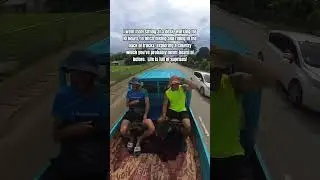 Backpacker Life #short #tonga #travel