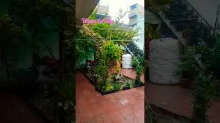 Winter first Rain 🌧️ In Pakistan #shorts #trend #rain #winter #snowfall