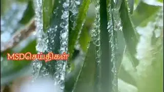 Frost warning for Kodaikanal - Meteorological Department information