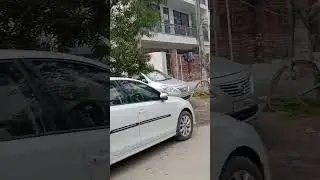 Mithu tree sitting and khula asaman #indian alexandria mithu #cute #cut #cuteparrot #viral #video