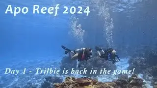 Apo Reef 2024 - Day One, Trilbie is back!