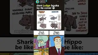 funny boy memes