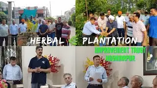 Herbal 🌿 Plantation | Improvement Trust Hoshiarpur Punjab Short Film | Ratra Vision