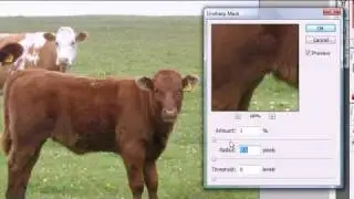 Photoshop Tutorial - 13 - Unsharp Mask