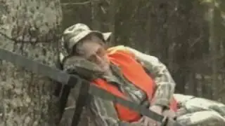Treestand Safety