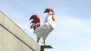 Royalty Free Footage-Giant Rooster on a building