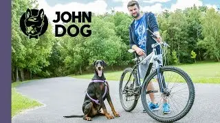 Jak jeździć na rowerze z psem na smyczy? – TRENING PSA - John Dog