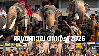 സീൻ 😮&zwj;💨🥵| Thrithala Nercha 2026| Puthupally keshavan, Sadhu| Thiruvambadi chandrashekharan 