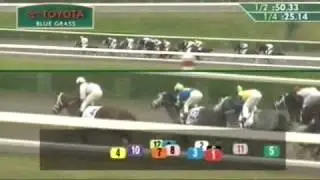 2011 Toyota Blue Grass Stakes