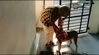 Shinchan's reaction when Appa comes back home