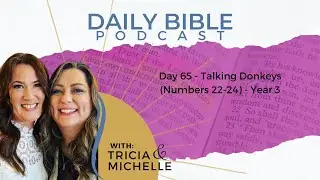 Day 65 - Talking Donkeys - Year 3