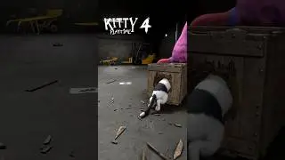 Kitty Playtime with tall cats