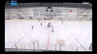 Sf Sabercats 14U B vs Capitol Thunder - MLK Classic 2026