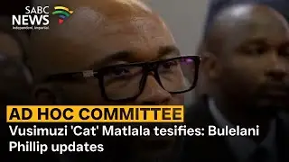 Ad Hoc Committee | Vusimuzi 'Cat' Matlala tesifies: Bulelani Phillip updates