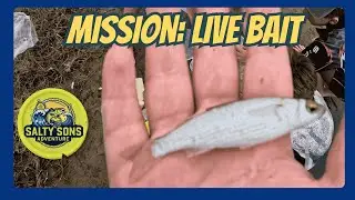 Home Made LIVE Bait Trap