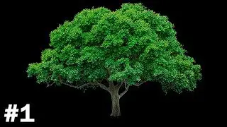 My Dive into Forest Nothing