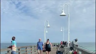 Fishing 𝐀𝐝𝐯𝐞𝐧𝐭𝐮𝐫𝐞𝐬 𝐰𝐢𝐭 𝐈 𝐏𝐚𝐭𝐭𝐚 is live! Pier fishing
