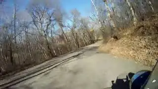 Into The Early Spring Woods