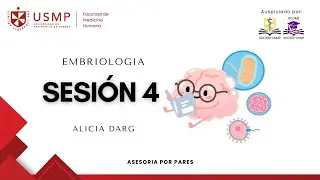 Embriolog&iacute;a y Gen&eacute;tica - Sesi&oacute;n 4 - Bases m&oacute;l. de la transmisi&oacute;n hereditaria - Alicia Darg - 2026-0