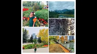 Top 11 fun/Educative/exciting Autumn/Fall fun toddler kids/family activities /things todo in  fall