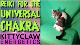 Connect To The Universal Life Force Energy!