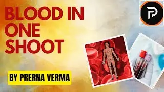 What is Blood ? l क्या होता है रक्त l #TGT #Blood #homescience #dsssb #ugcnet #BloodComposition
