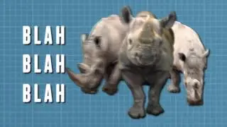 154914 ABC FOX MONTANA Sales Promo