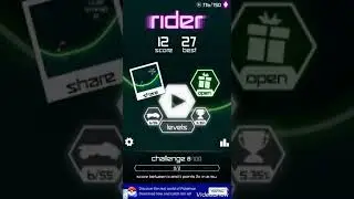 Rider game best flips and completing everything