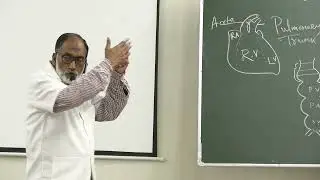 Lecture On  Heart Development: Ventricles & Interventricular Septum  | MBBS