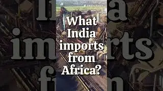 What India imports from Africa  #africa #african #africanews #india #ias #indiaafrica #iasexam