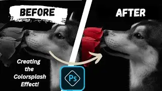 Creating the Color Splash Effect in Photoshop