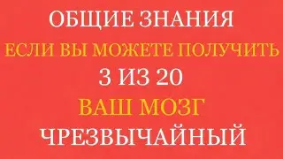 Если вы сможете правильно ответить хотя бы на 3 из 30 вопросов, ваш мозг по-настоящему выдающийся! 