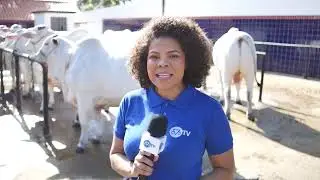 88&ordf; ExpoZebu: ABCZ recebe reuni&atilde;o da Comiss&atilde;o Nacional de Bovinocultura de Corte