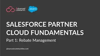 Salesforce Partner Cloud Fundamentals. Part 1: Rebate Management in Salesforce