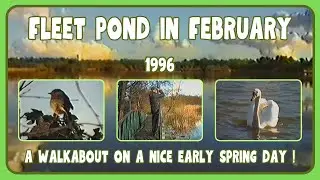 Fleet Pond in February (1996, Enhanced)