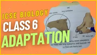 CLASS 6 ICSE Tutorial - Adaptation || Biology || Candid