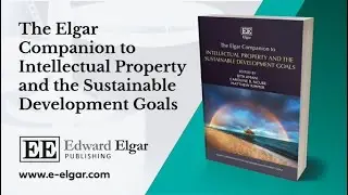 The Elgar Companion to IP and the SDGs: Professor Matthew Rimmer for the South African Book Launch