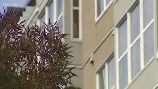 Arch housing program reviewing policies