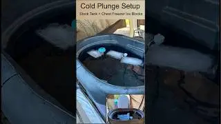 Simple Cold Plunge Setup &ndash; stock tank + chest freezer ice blocks ￼#coldplunge #icebath #diy