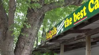 $10,000 grant assists animal rescue effort