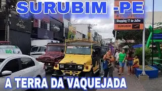 FEIRA LIVRE NO CENTRO COMERCIAL DE SURUBIM -PE 
