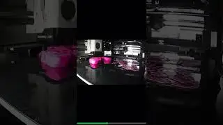 3D Print Fail to Epic Win | Bambu Labs P1S Dragon Timelapse