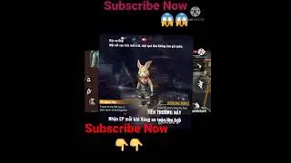 OB30 Update New Pet