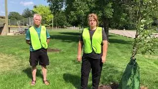 Tree Gator Bags - Making Watering Trees a Breeze!